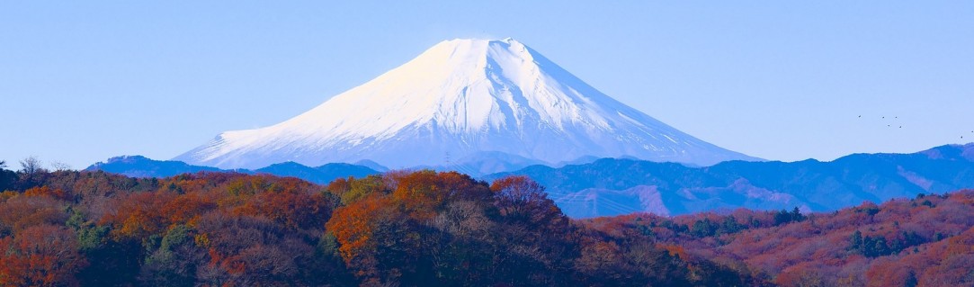 Did you know… 10 fun facts about Fuji!